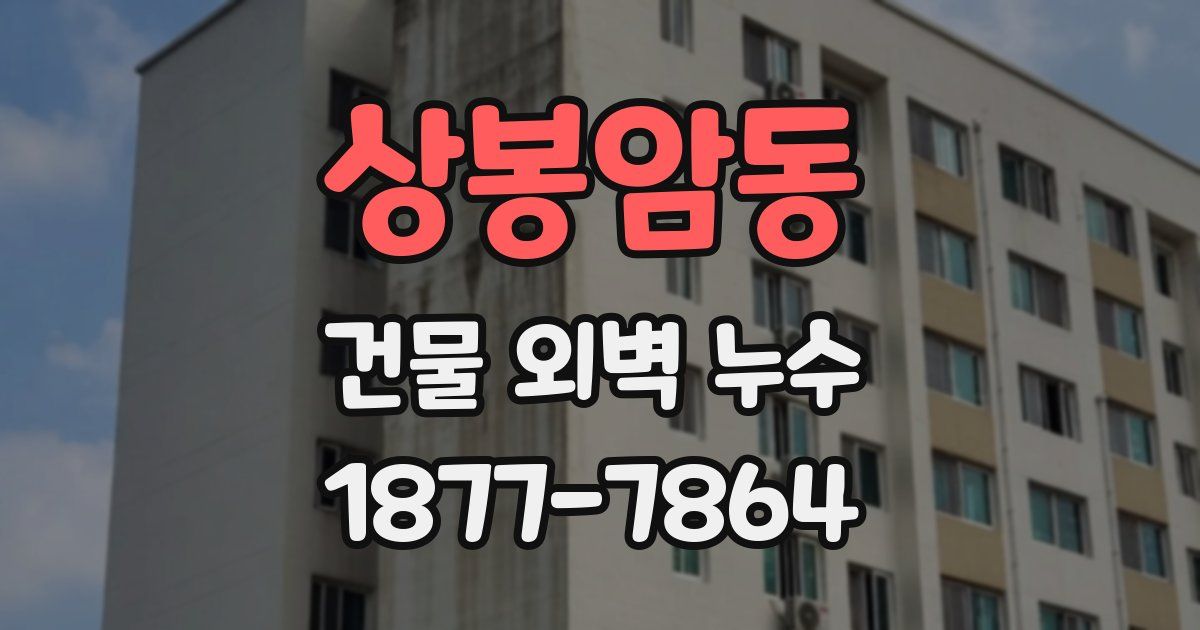 상봉암동 건물 외벽 누수