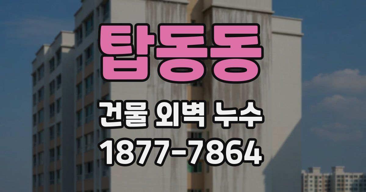 탑동동 건물 외벽 누수