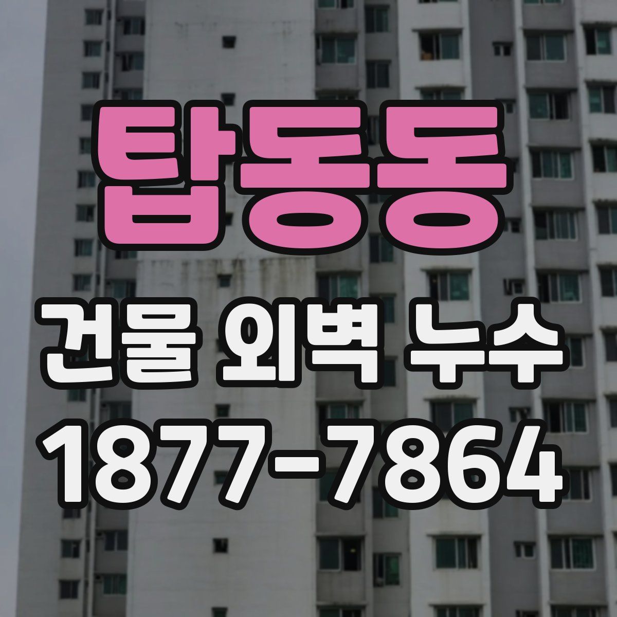 탑동동 건물 외벽 누수