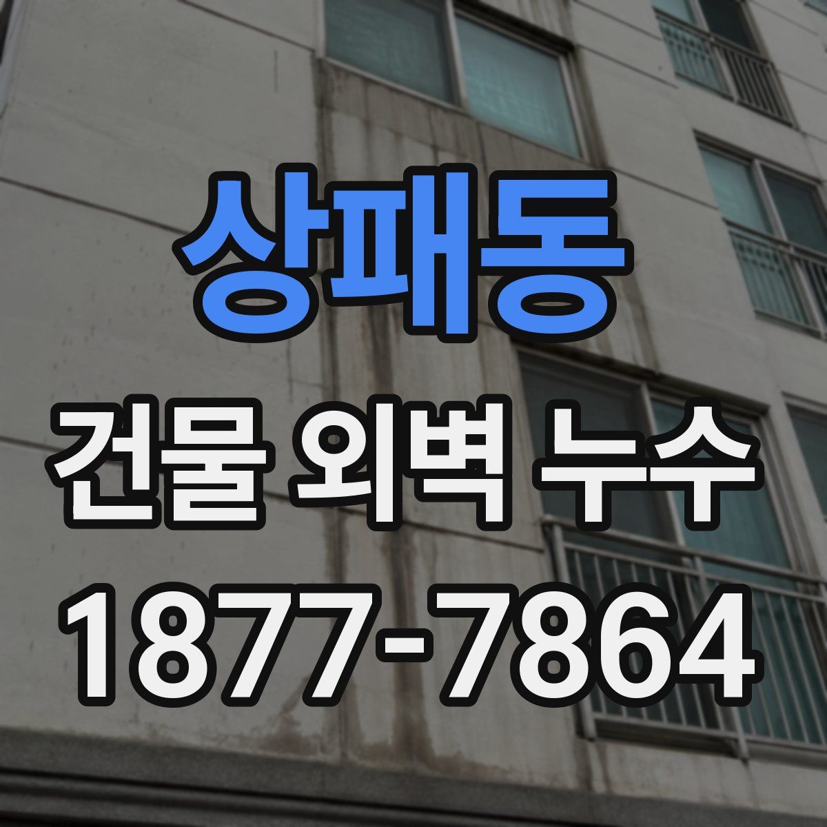 상패동 건물 외벽 누수