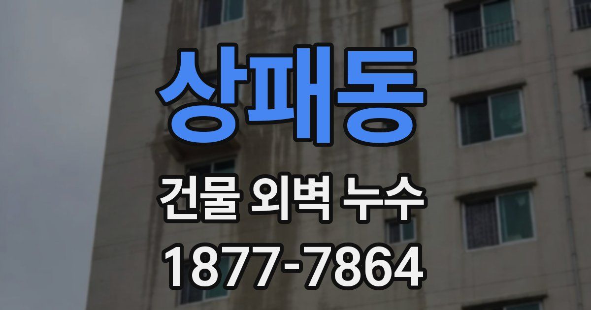 상패동 건물 외벽 누수