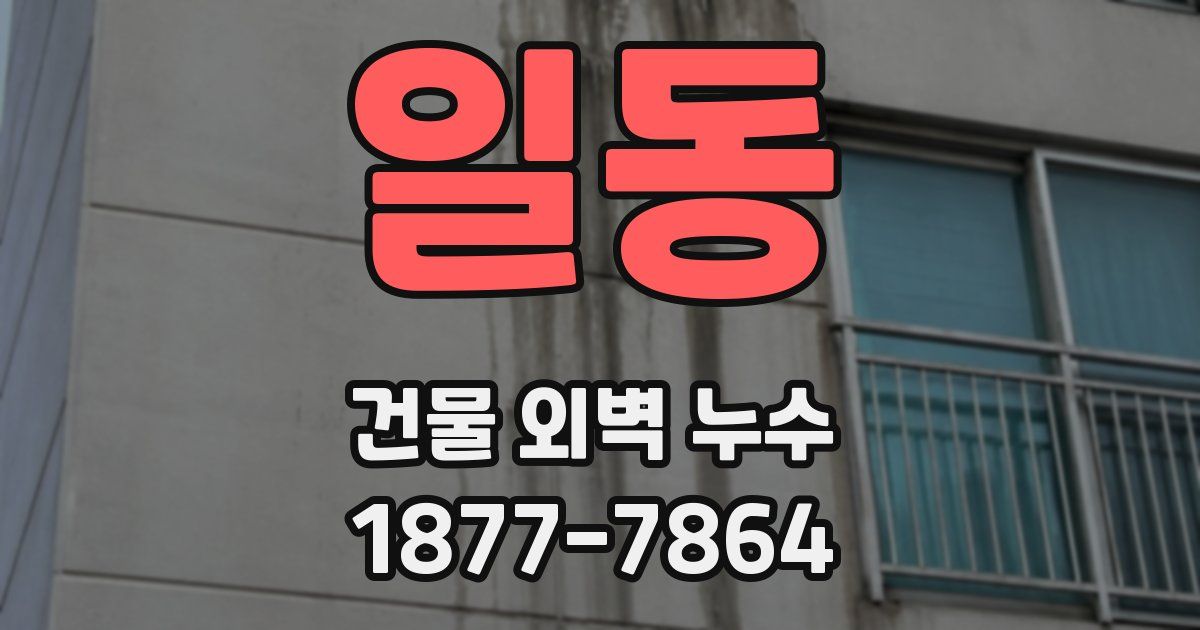 일동 건물 외벽 누수