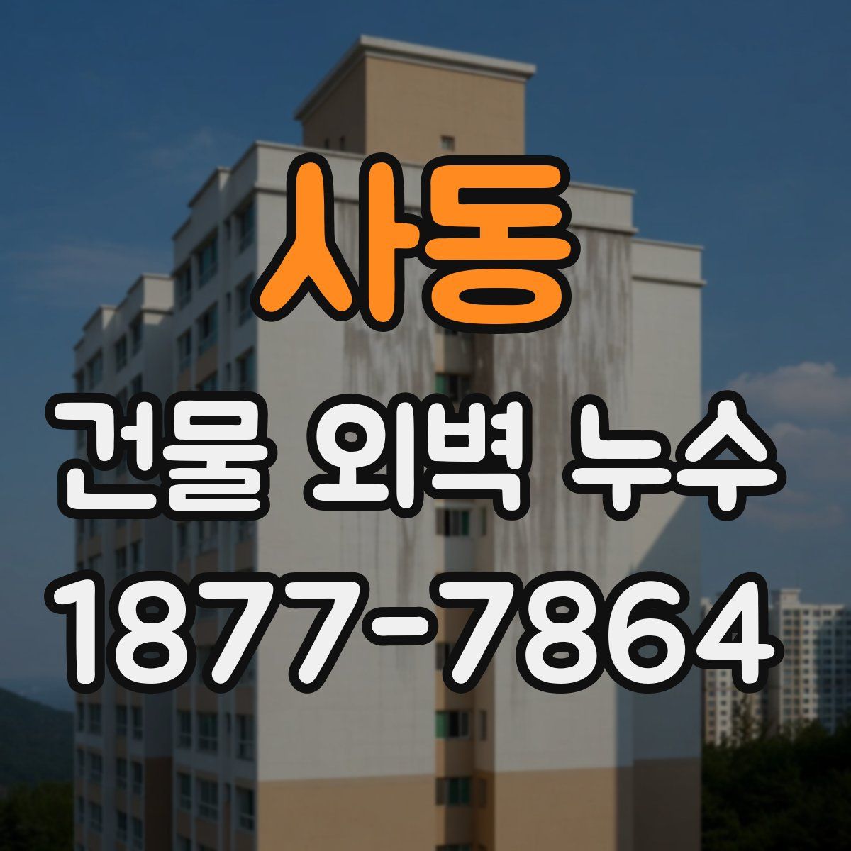 사동 건물 외벽 누수