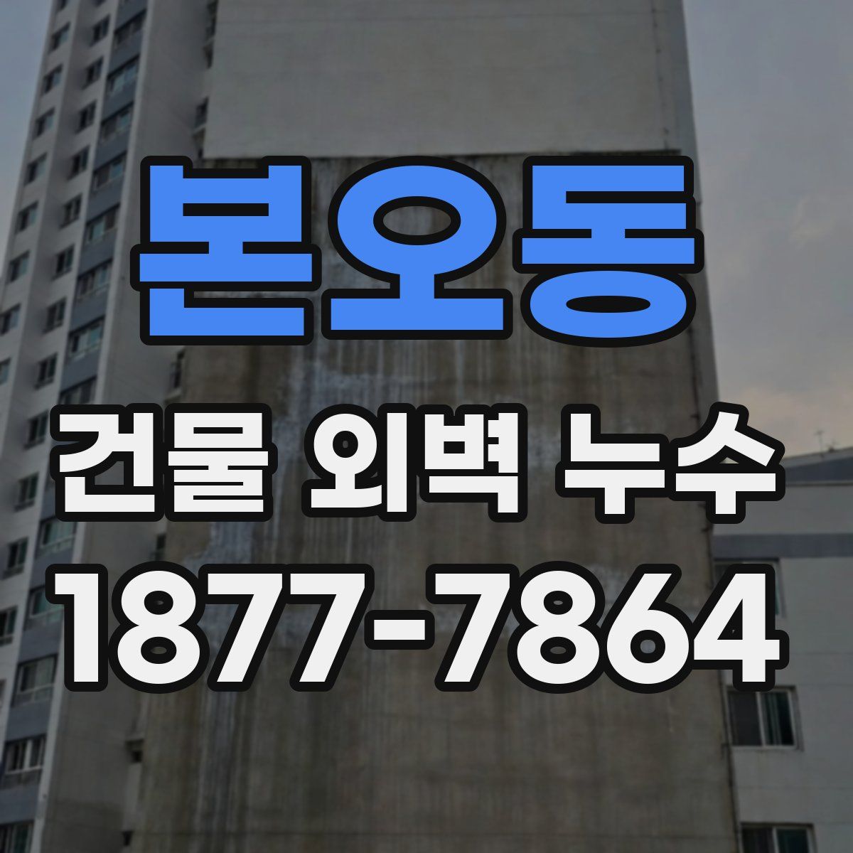 본오동 건물 외벽 누수
