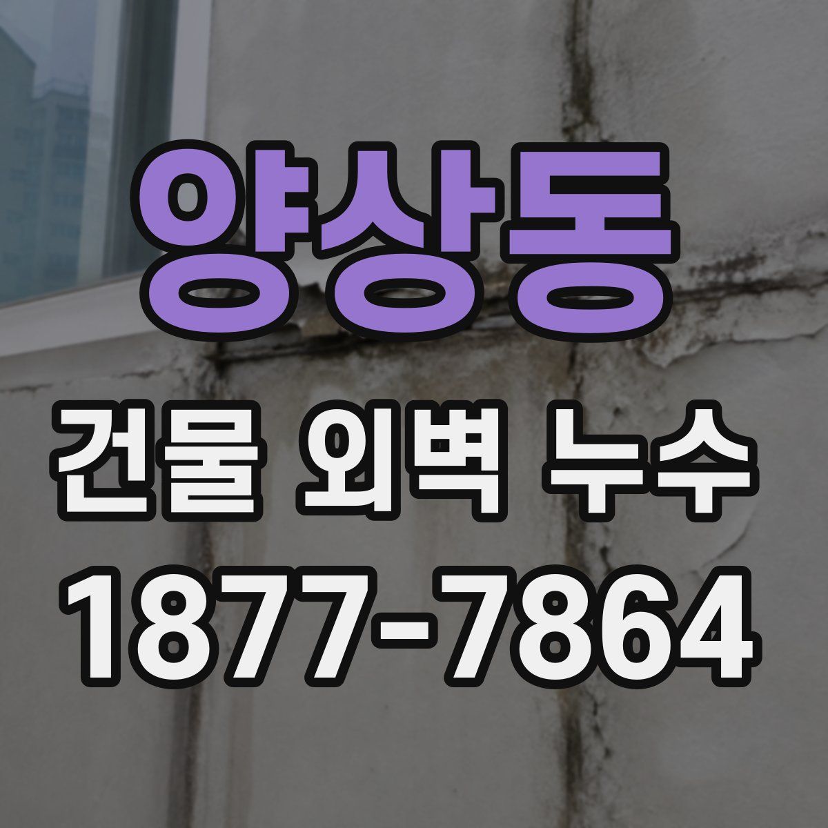 양상동 건물 외벽 누수