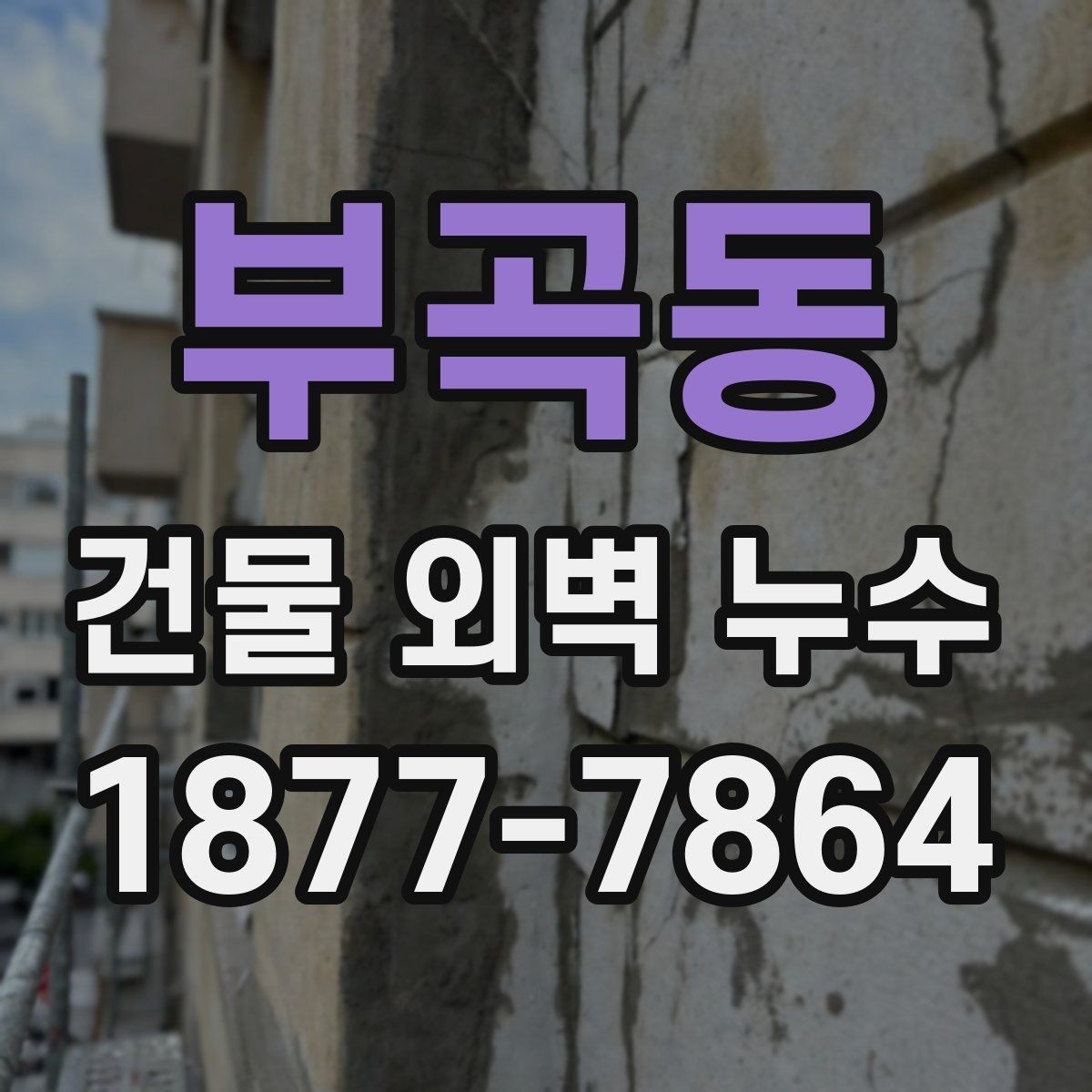부곡동 건물 외벽 누수 수리 전후로 비교해야 할 항목
