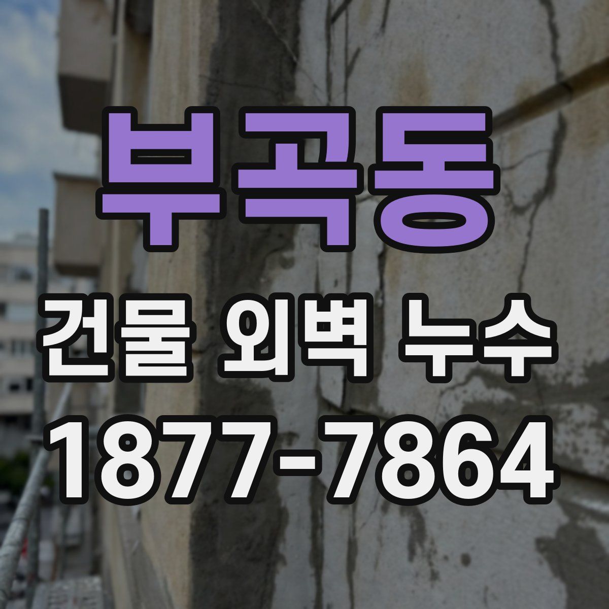 부곡동 건물 외벽 누수