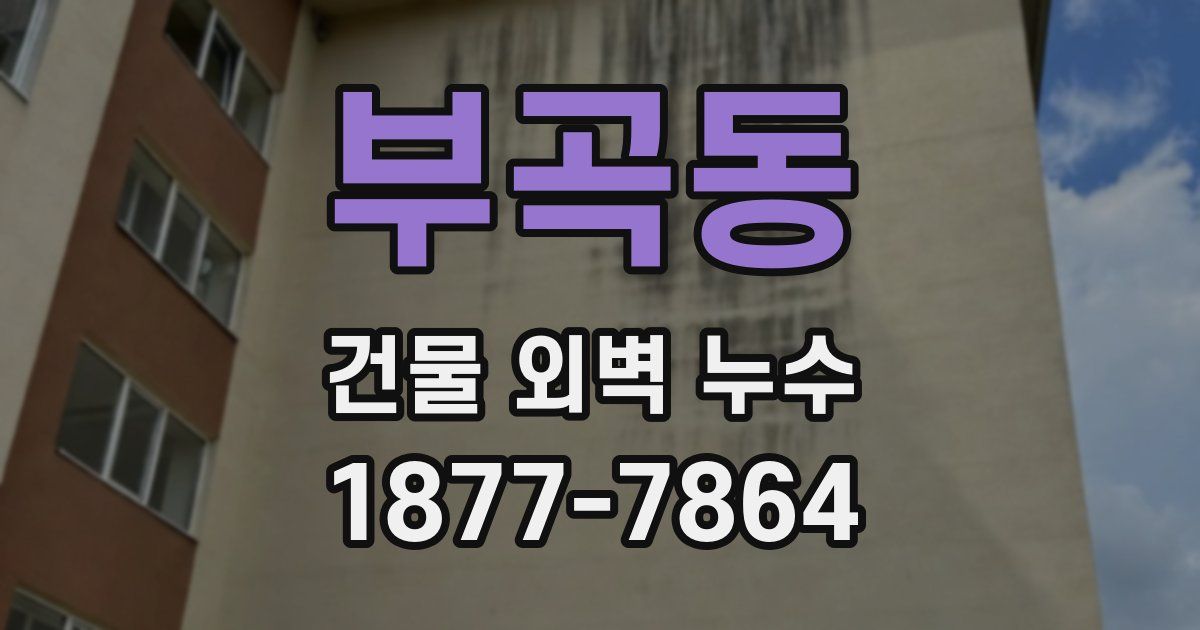 부곡동 건물 외벽 누수