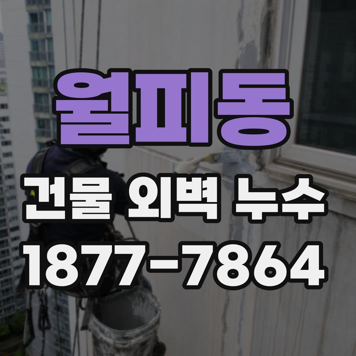 월피동 건물 외벽 누수