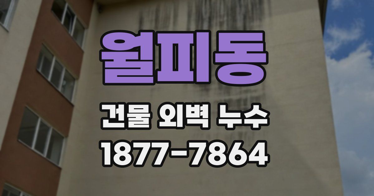 월피동 건물 외벽 누수