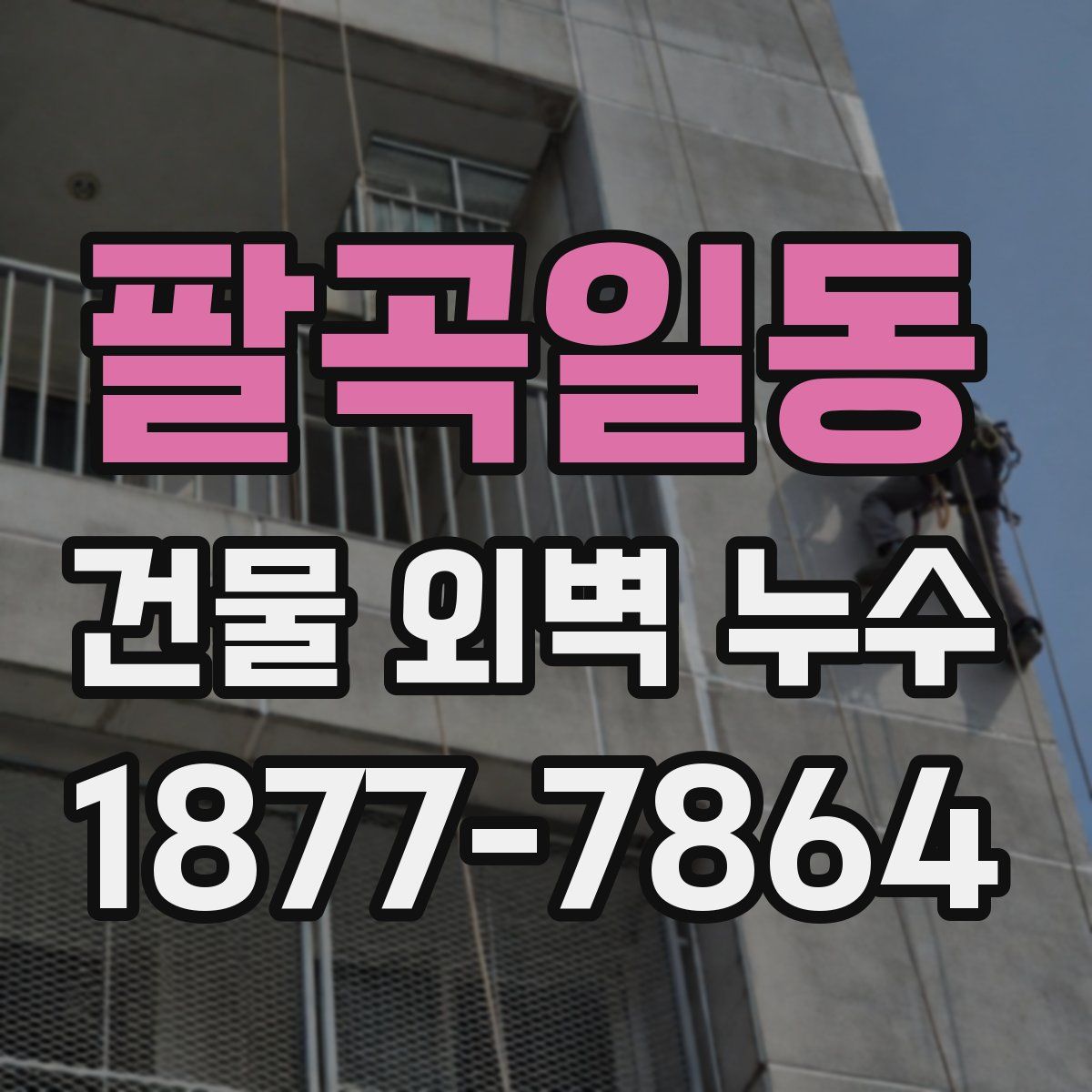 팔곡일동 건물 외벽 누수