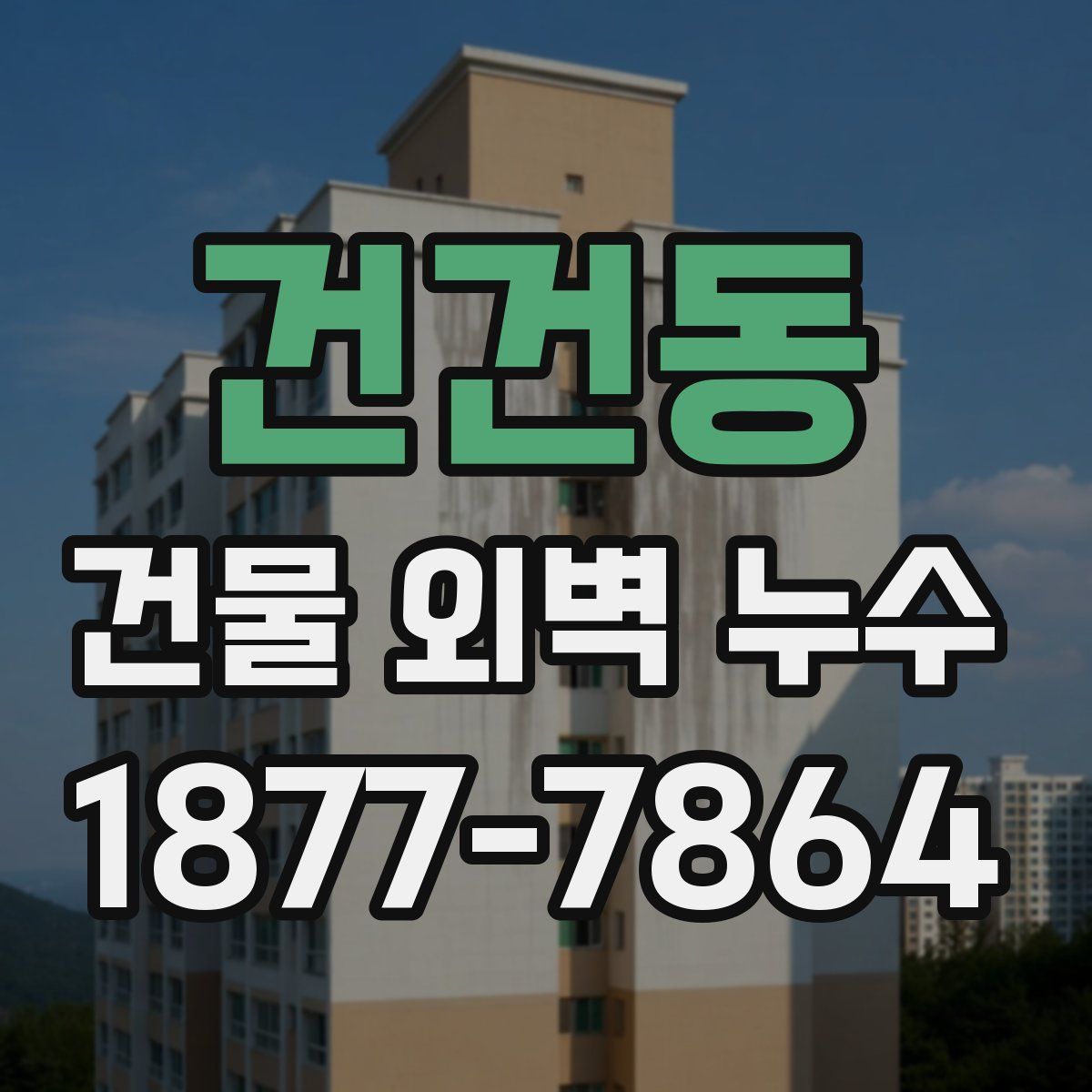 건건동 건물 외벽 누수