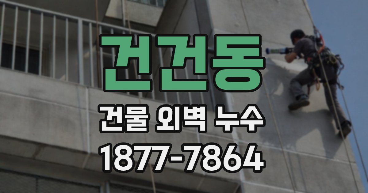 건건동 건물 외벽 누수