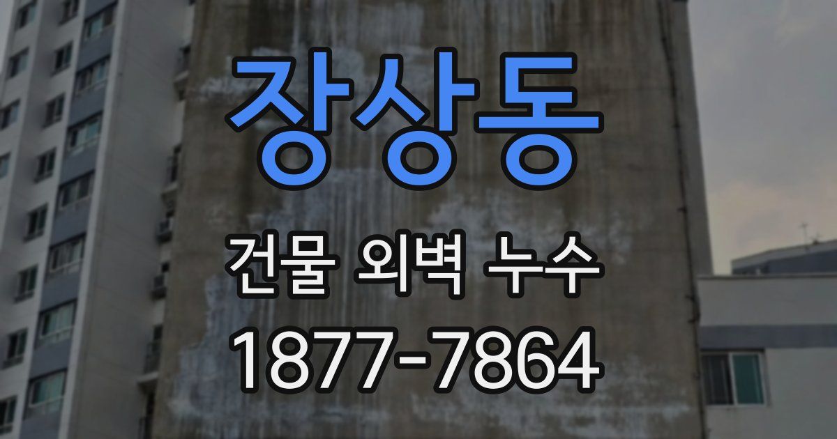 장상동 건물 외벽 누수