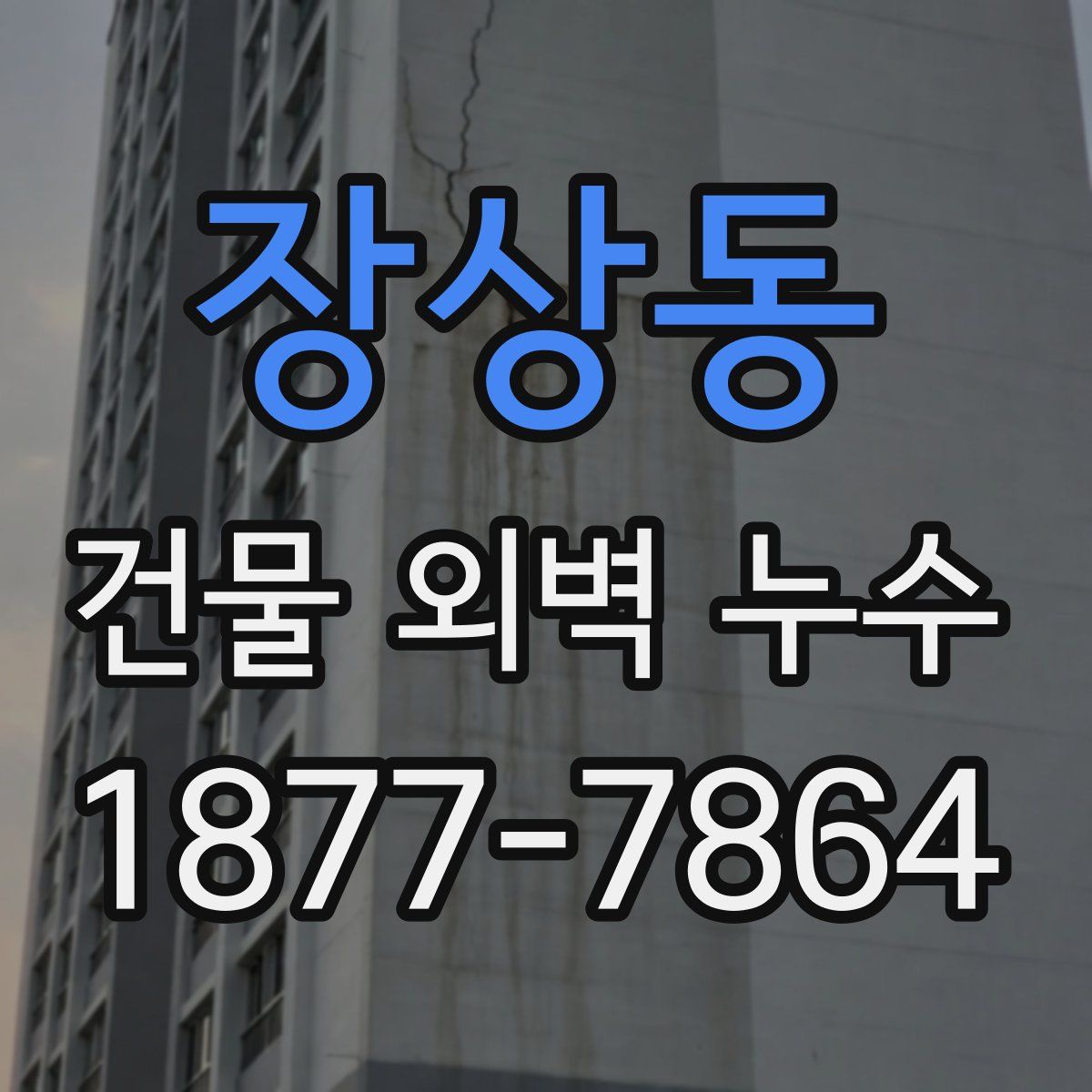 장상동 건물 외벽 누수