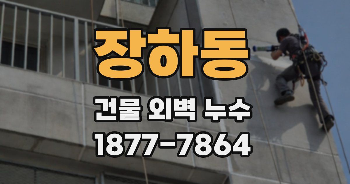 장하동 건물 외벽 누수