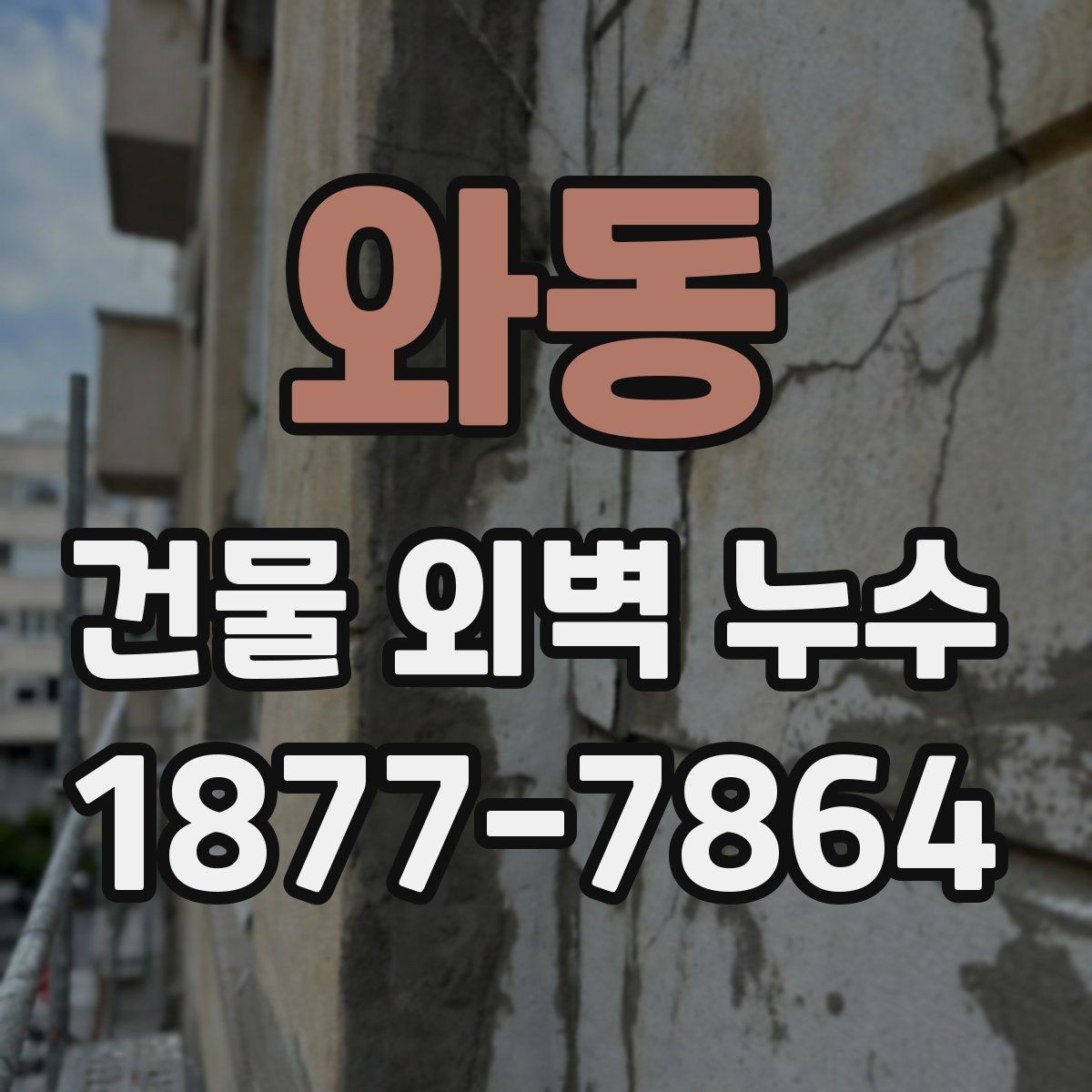 와동 건물 외벽 누수 원인 진단과 보수 방향