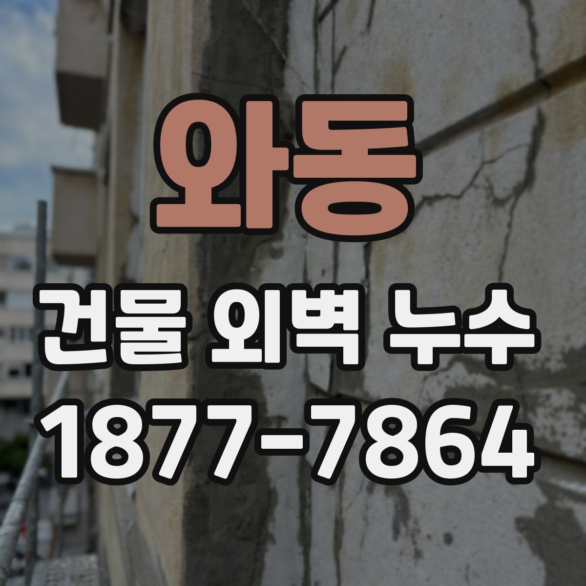 와동 건물 외벽 누수