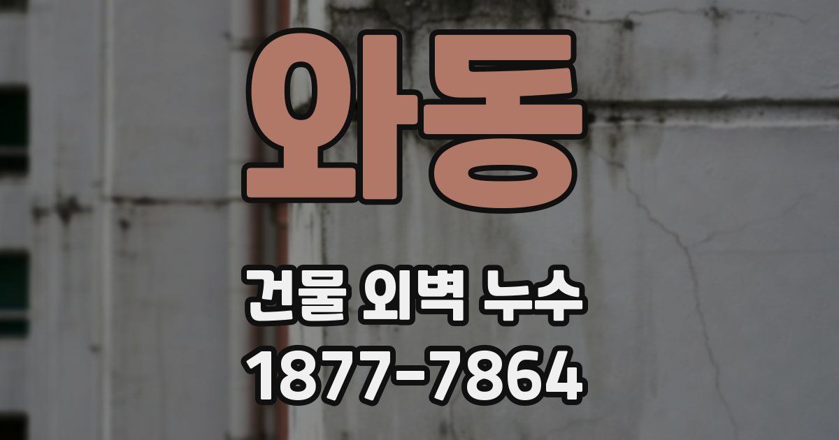 와동 건물 외벽 누수