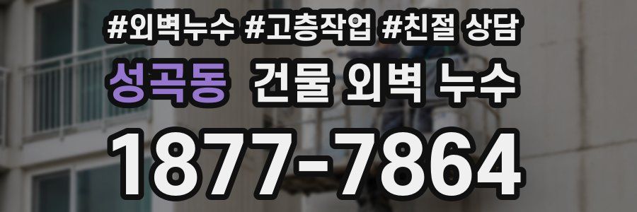 성곡동 건물 외벽 누수