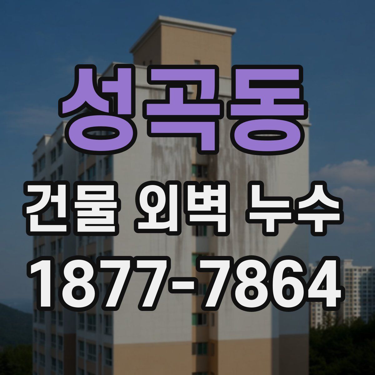 성곡동 건물 외벽 누수