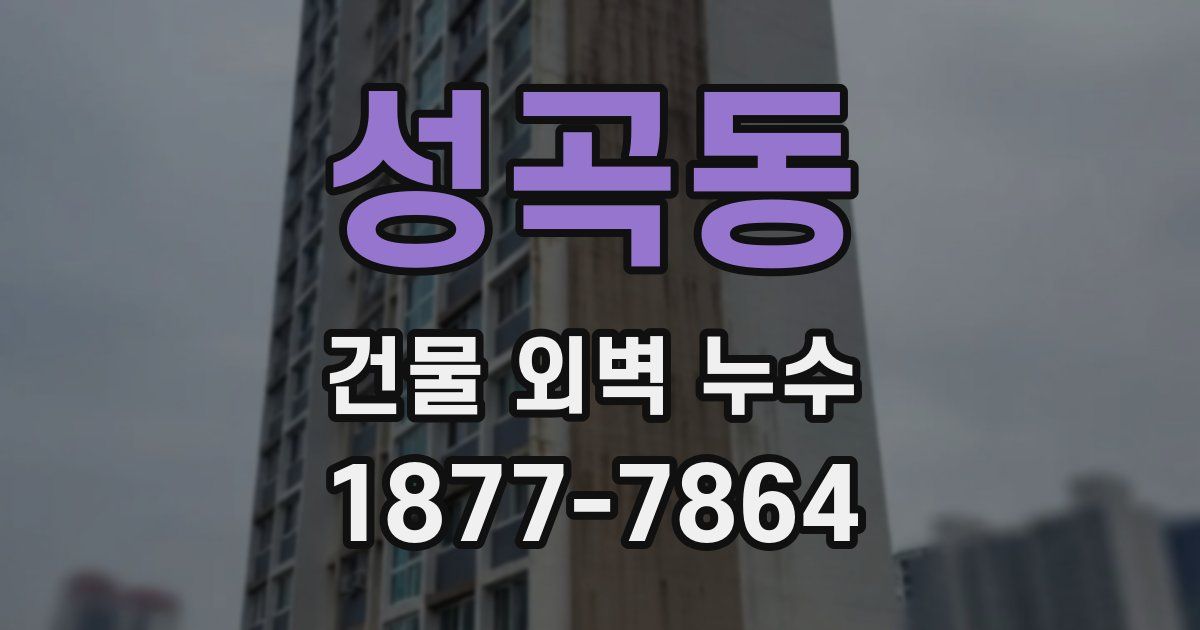 성곡동 건물 외벽 누수