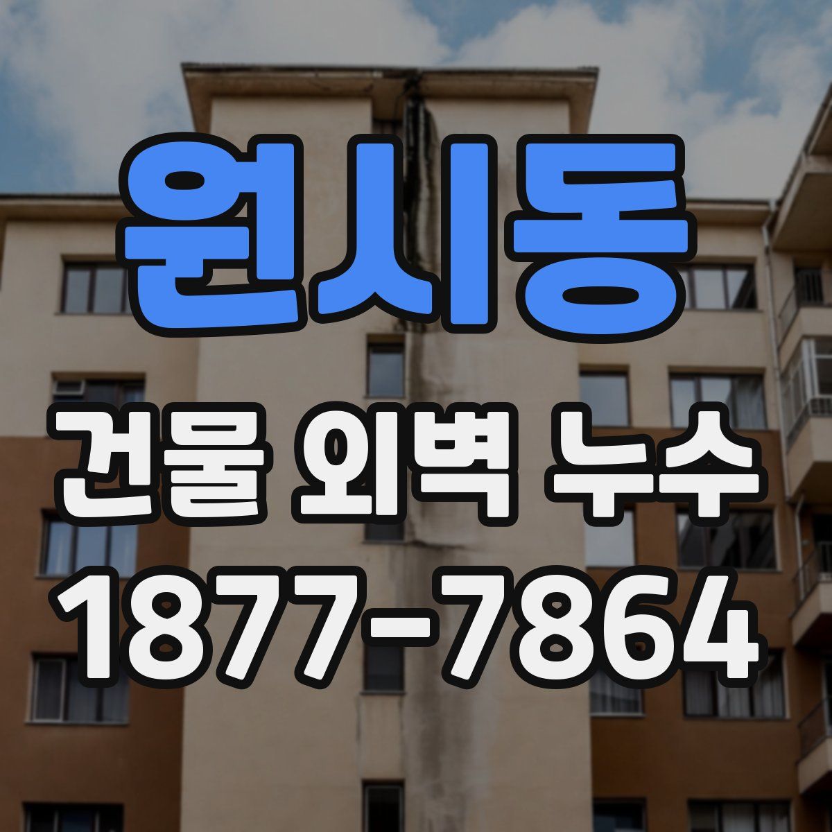 원시동 건물 외벽 누수