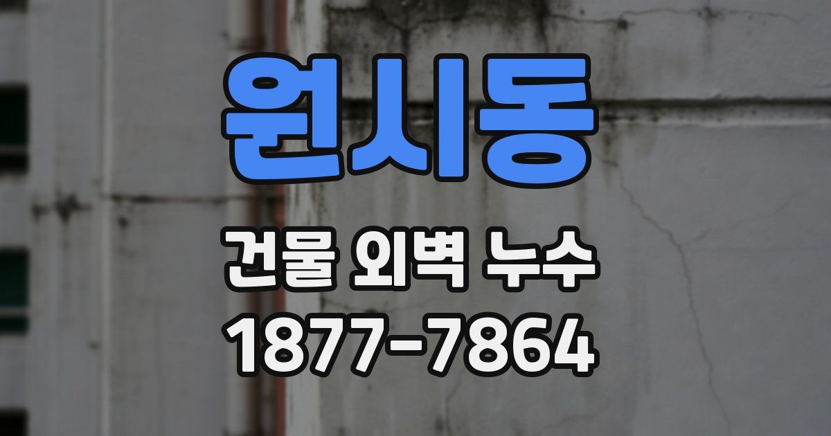 원시동 건물 외벽 누수