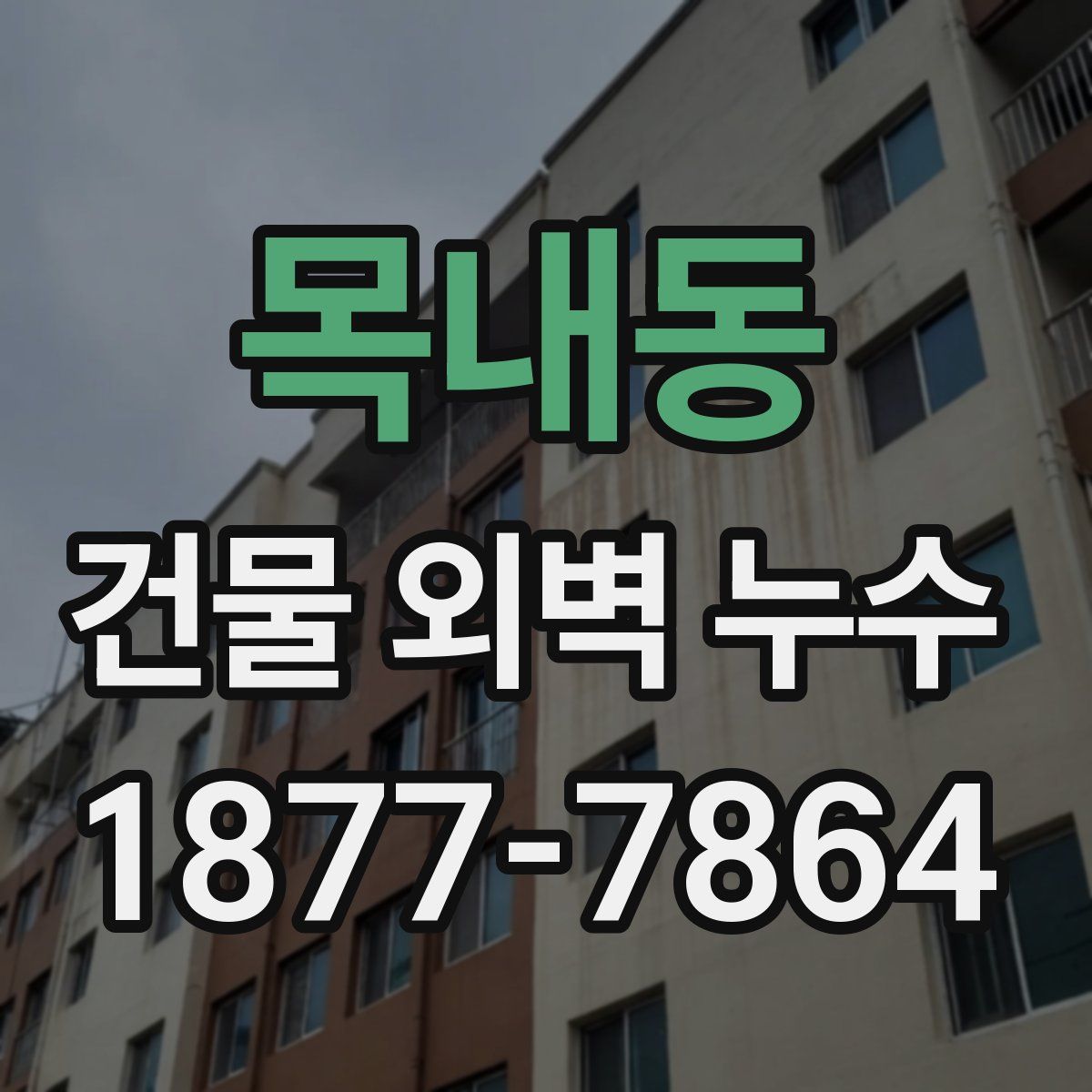 목내동 건물 외벽 누수