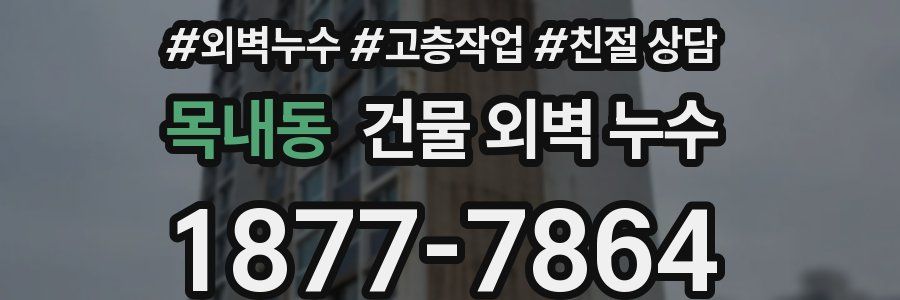 목내동 건물 외벽 누수