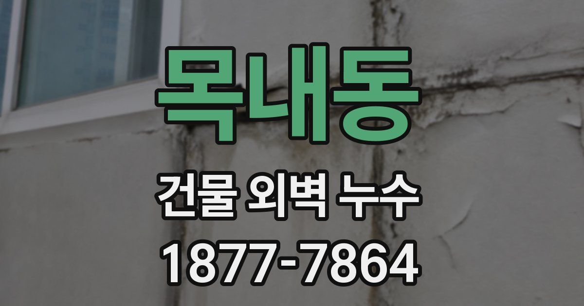 목내동 건물 외벽 누수