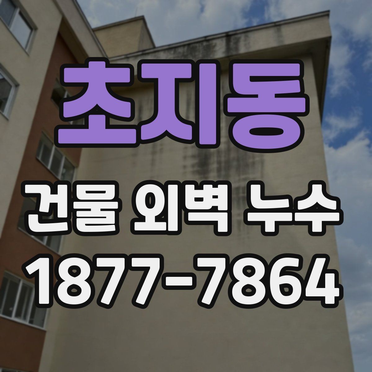 초지동 건물 외벽 누수 외부 마감재 상태 확인하기