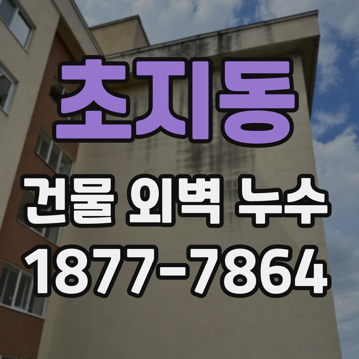 초지동 건물 외벽 누수