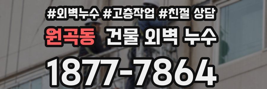 원곡동 건물 외벽 누수