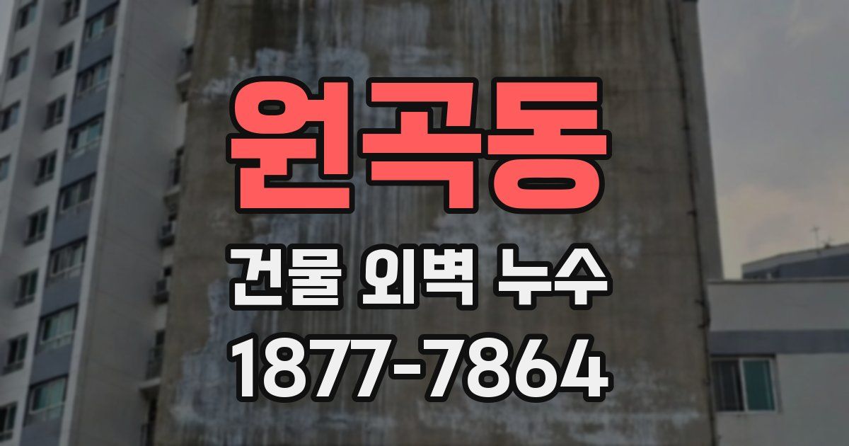 원곡동 건물 외벽 누수