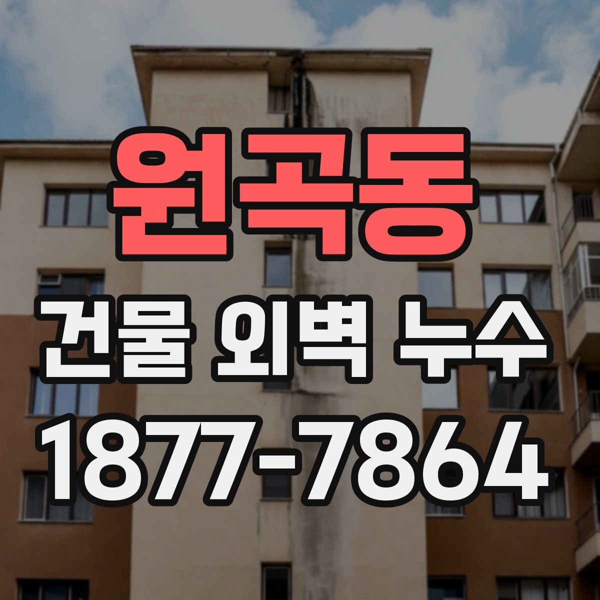 원곡동 건물 외벽 누수