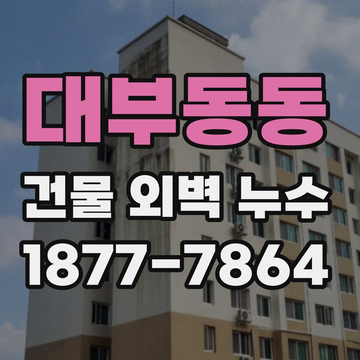 대부동동 건물 외벽 누수