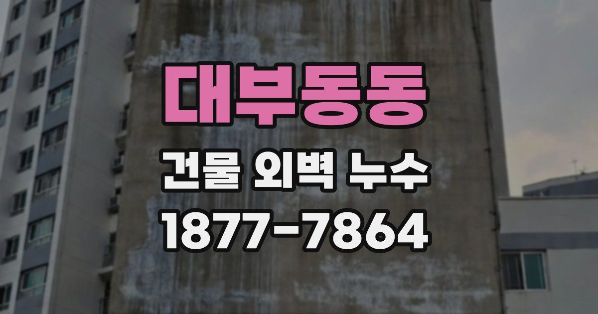 대부동동 건물 외벽 누수