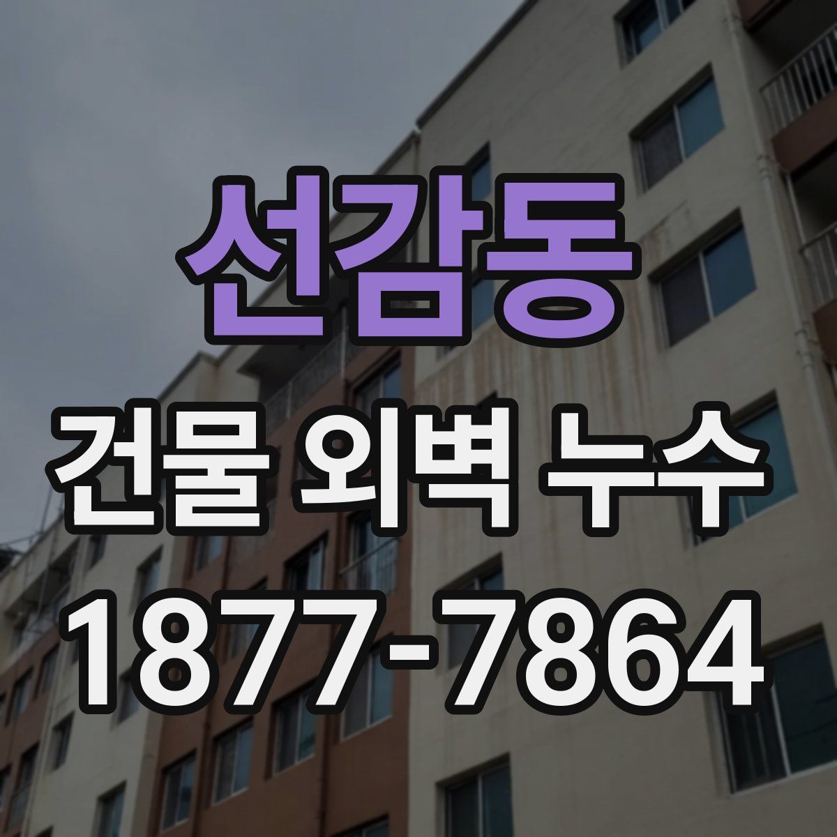 선감동 건물 외벽 누수