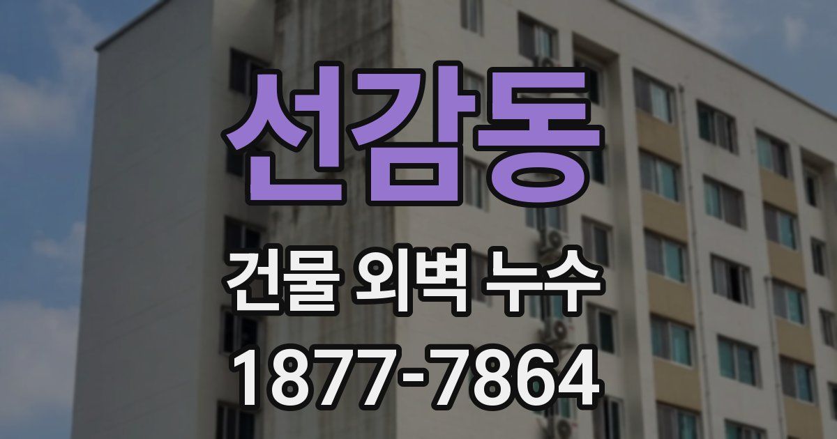 선감동 건물 외벽 누수