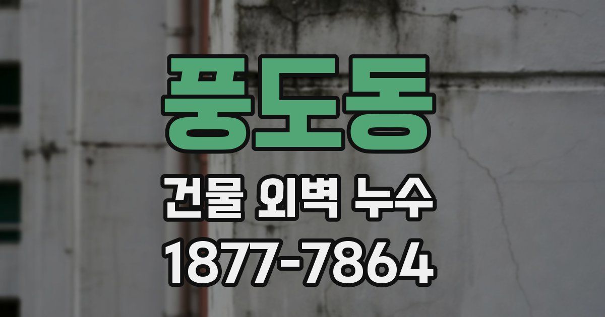 풍도동 건물 외벽 누수