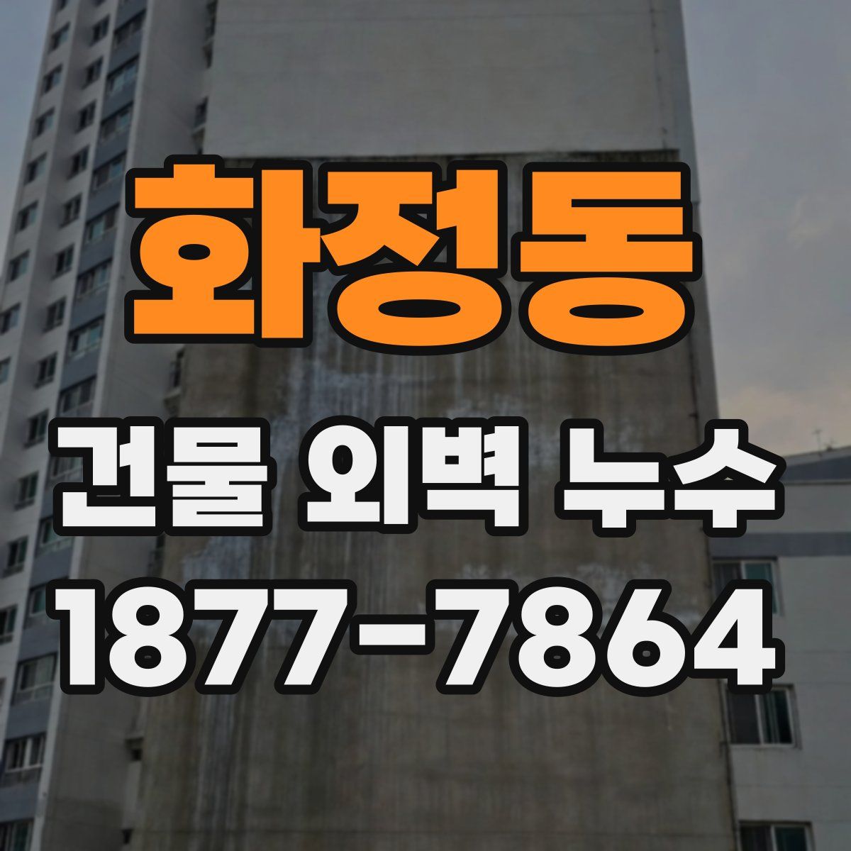 화정동 건물 외벽 누수