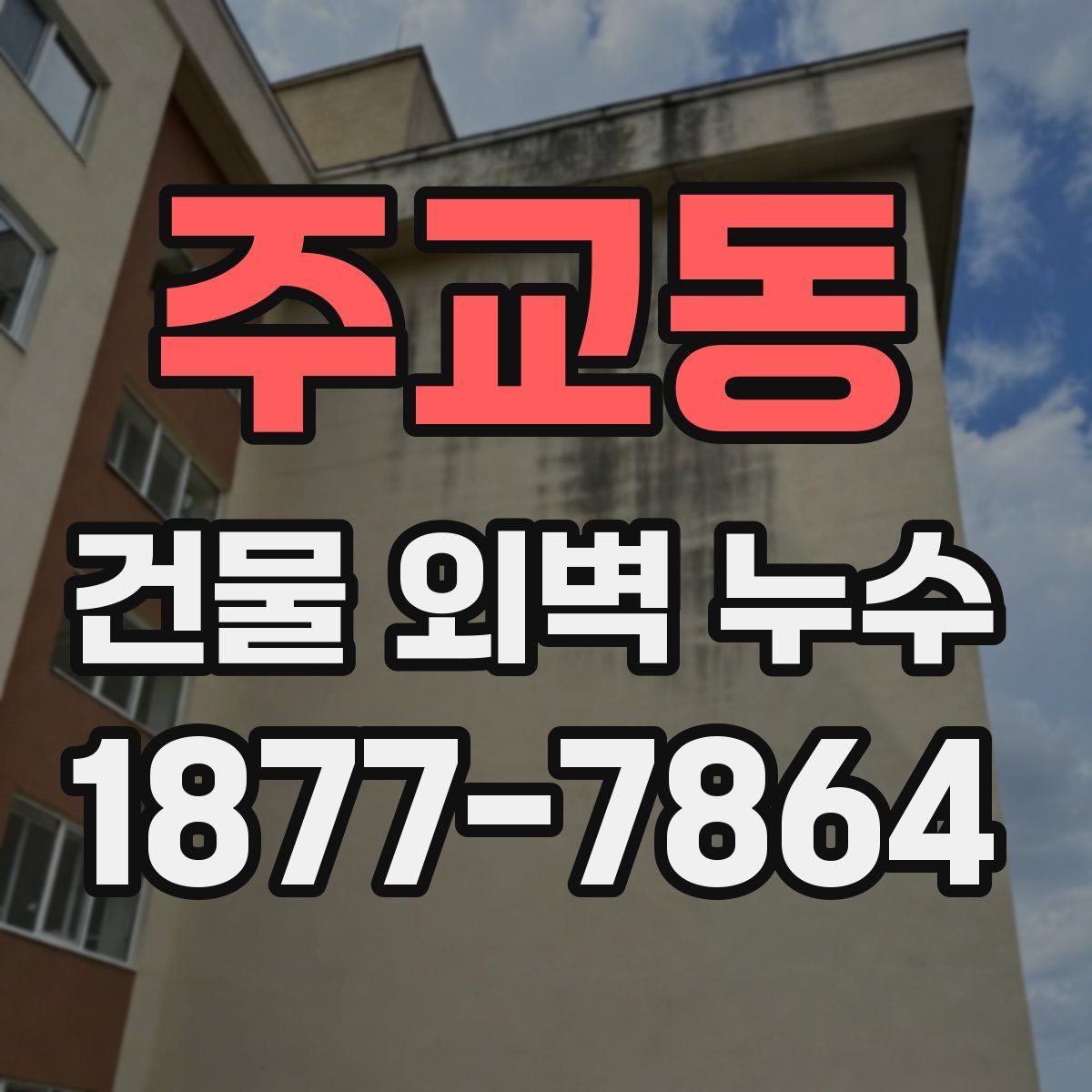주교동 건물 외벽 누수