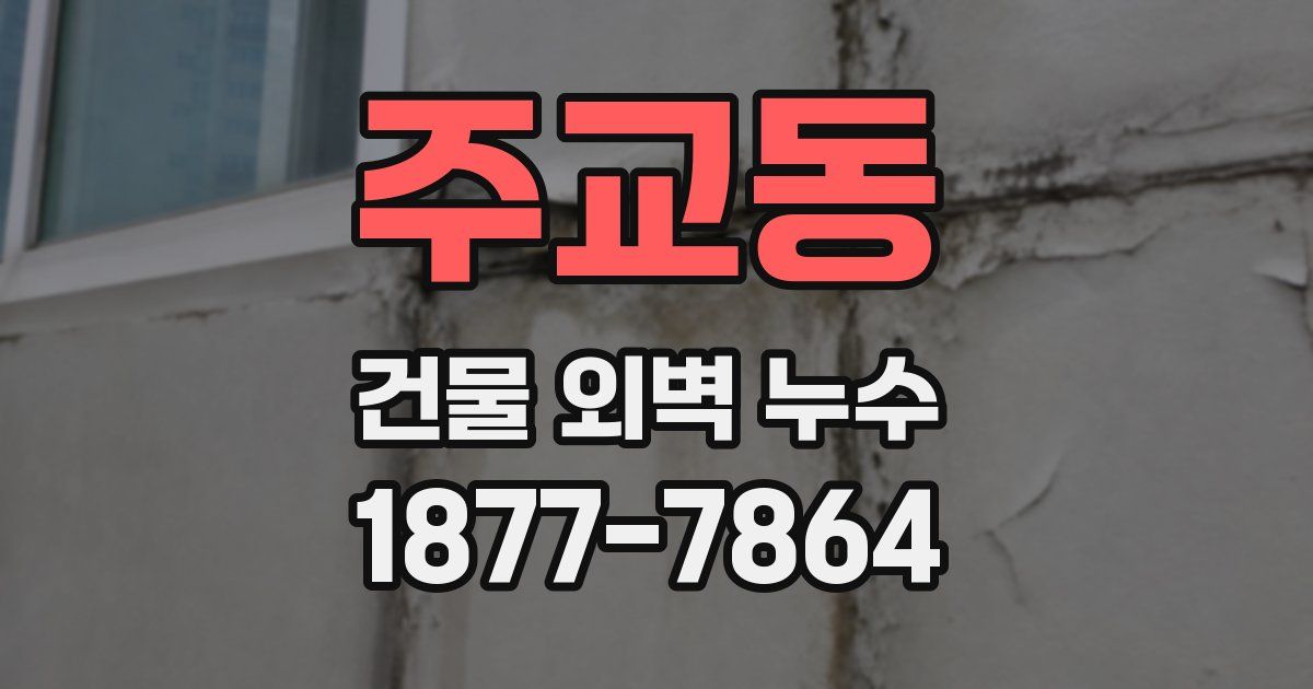 주교동 건물 외벽 누수