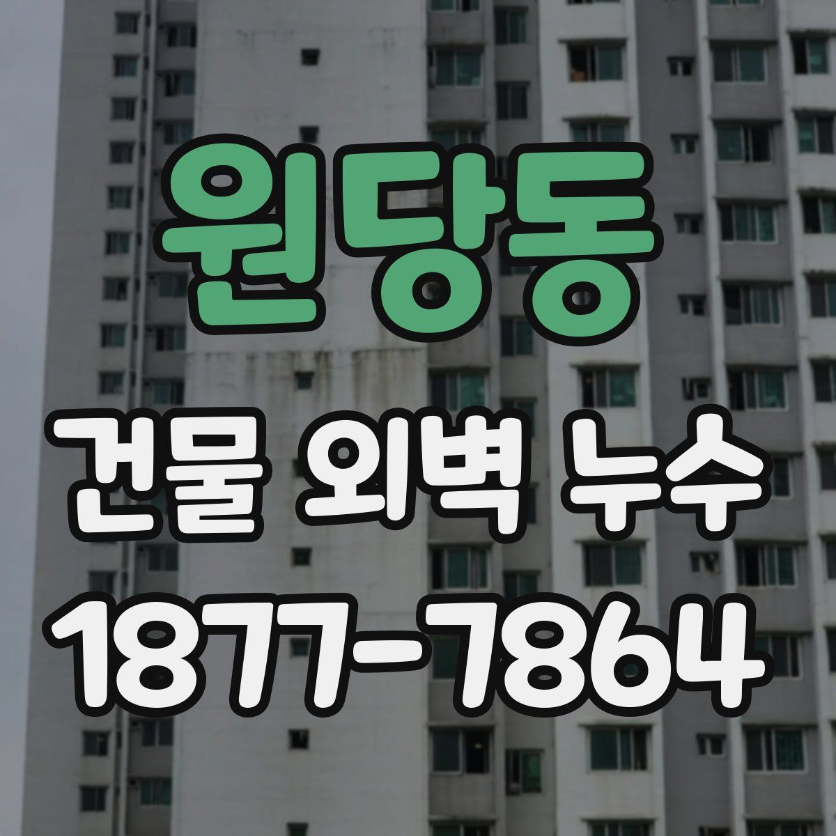 원당동 건물 외벽 누수