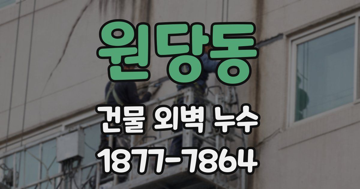 원당동 건물 외벽 누수