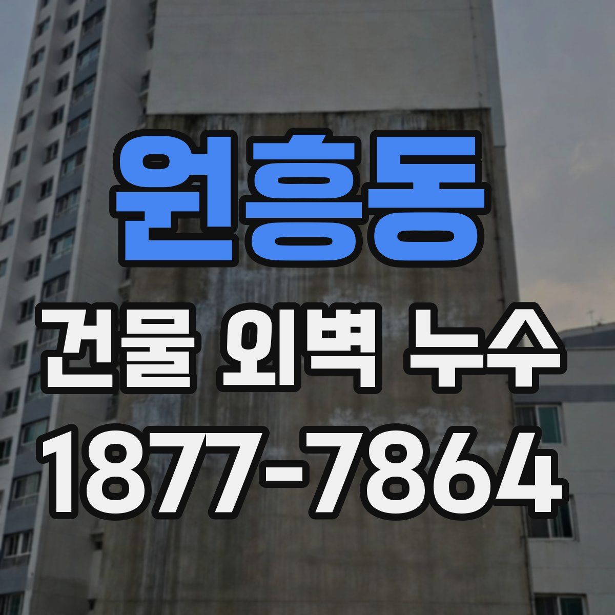 원흥동 건물 외벽 누수
