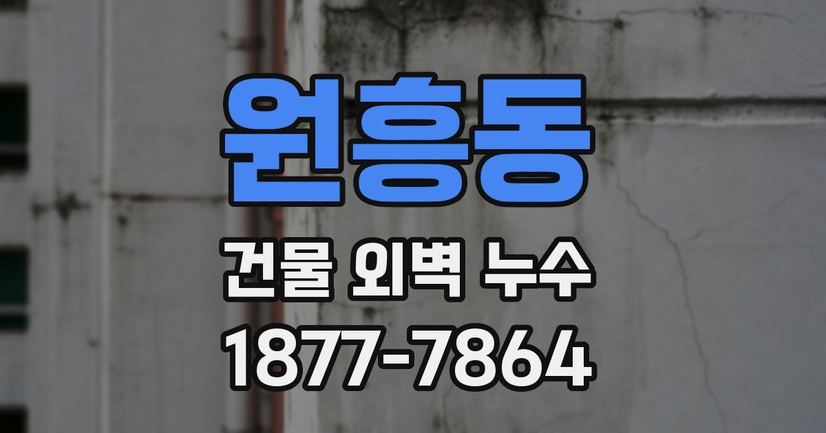 원흥동 건물 외벽 누수