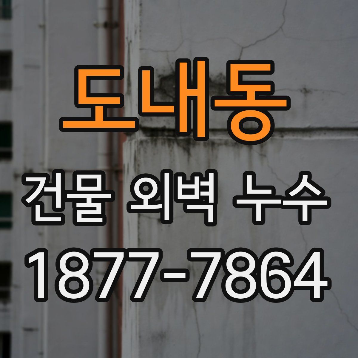 도내동 건물 외벽 누수