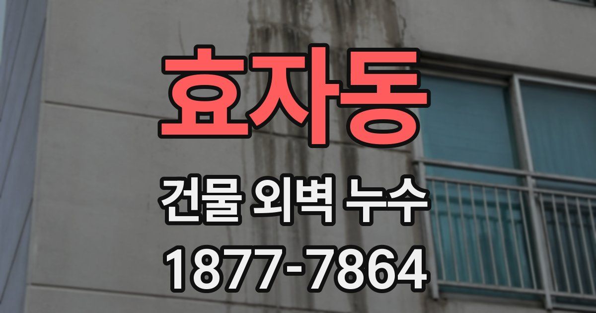 효자동 건물 외벽 누수